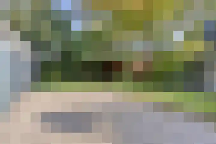 Koarteloane 3 Kollumersweach thumbnail 28