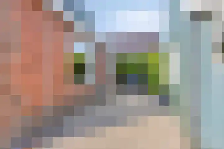 Koarteloane 3 Kollumersweach thumbnail 29