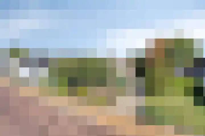 Koarteloane 3 Kollumersweach thumbnail 33