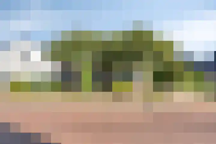 Koarteloane 3 Kollumersweach thumbnail 4