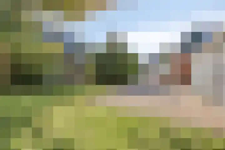 Koarteloane 3 Kollumersweach thumbnail 5
