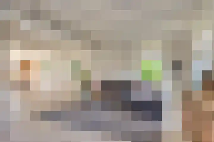 Koarteloane 5 Kollumersweach thumbnail 11