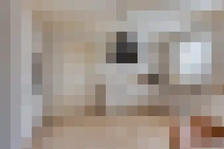 Koarteloane 5 Kollumersweach thumbnail 18