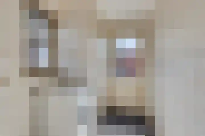 Koarteloane 5 Kollumersweach thumbnail 23