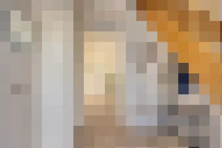 Koarteloane 5 Kollumersweach thumbnail 24