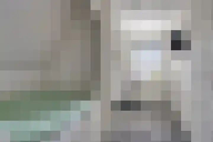 Koarteloane 5 Kollumersweach thumbnail 29