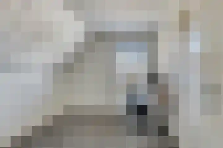 Koarteloane 5 Kollumersweach thumbnail 31