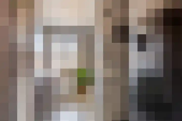 Koarteloane 5 Kollumersweach thumbnail 32