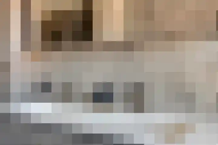 Koarteloane 5 Kollumersweach thumbnail 35