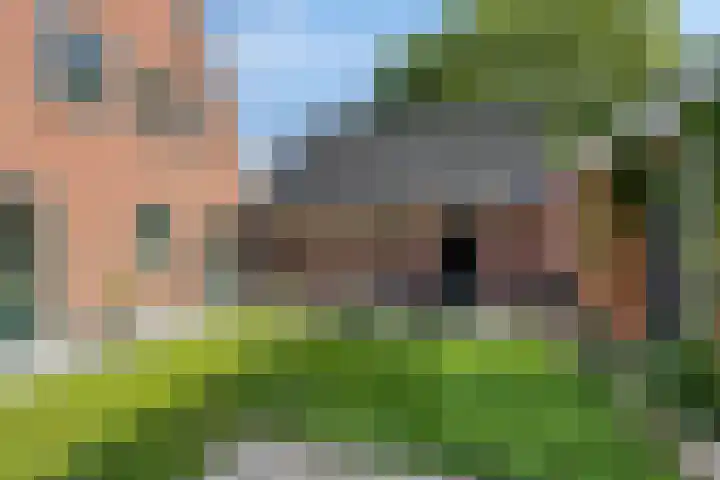 Koarteloane 5 Kollumersweach thumbnail 38