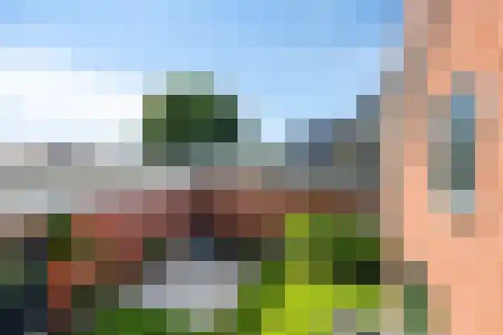 Koarteloane 5 Kollumersweach thumbnail 39