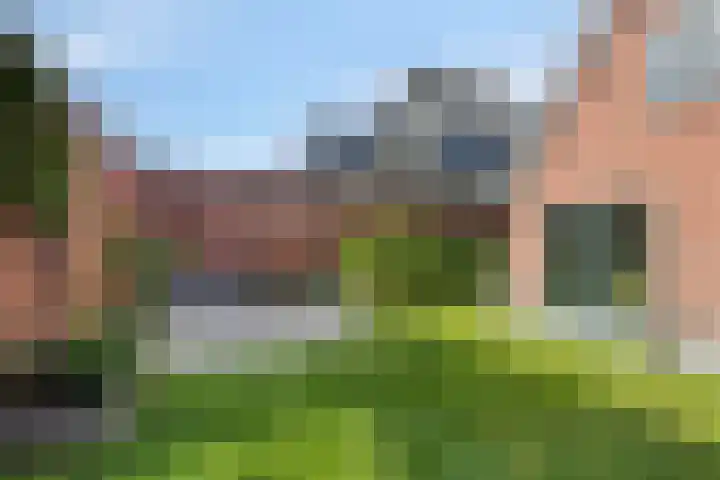 Koarteloane 5 Kollumersweach thumbnail 41