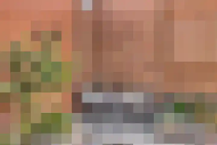 Koarteloane 5 Kollumersweach thumbnail 42