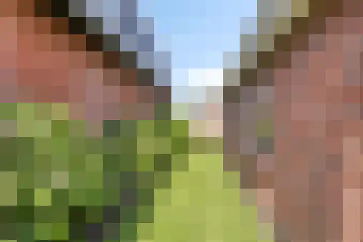 Koarteloane 5 Kollumersweach thumbnail 45