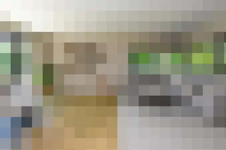 Kobalt 6 Zeewolde thumbnail 18