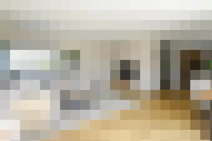Kobalt 6 Zeewolde thumbnail 20