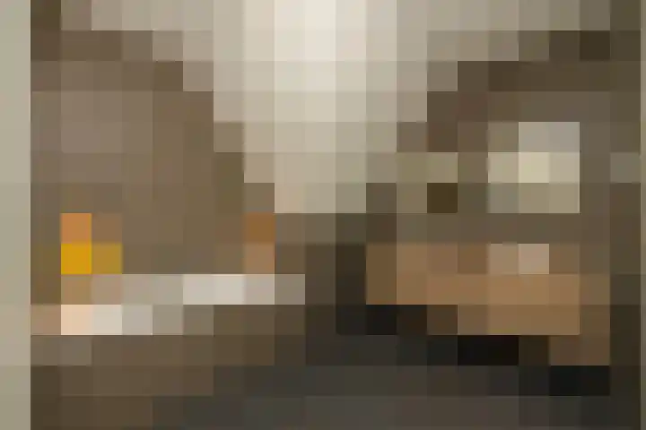 Kobalt 6 Zeewolde thumbnail 46