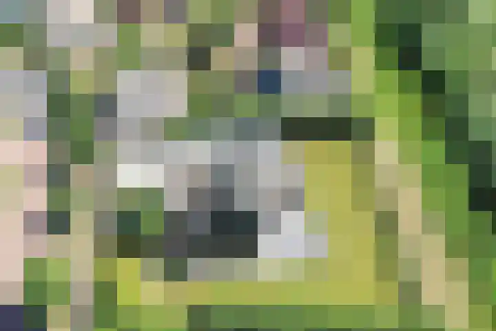 Kobalt 6 Zeewolde thumbnail 51