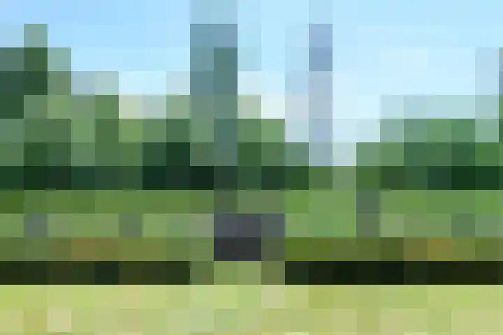 Kobalt 6 Zeewolde thumbnail 58