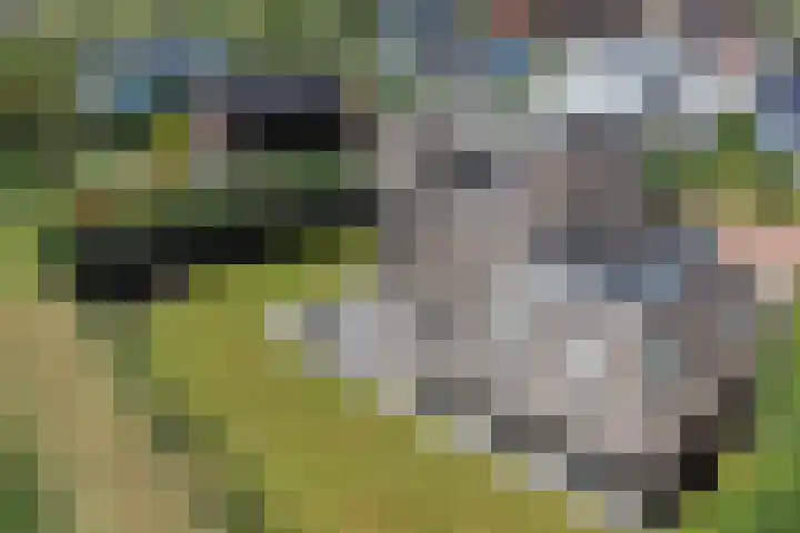 Kobalt 6 Zeewolde thumbnail 59
