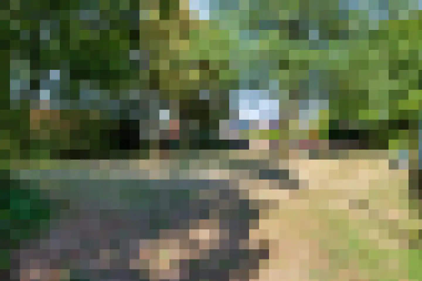 Kobaltstraat 66 Apeldoorn thumbnail 35