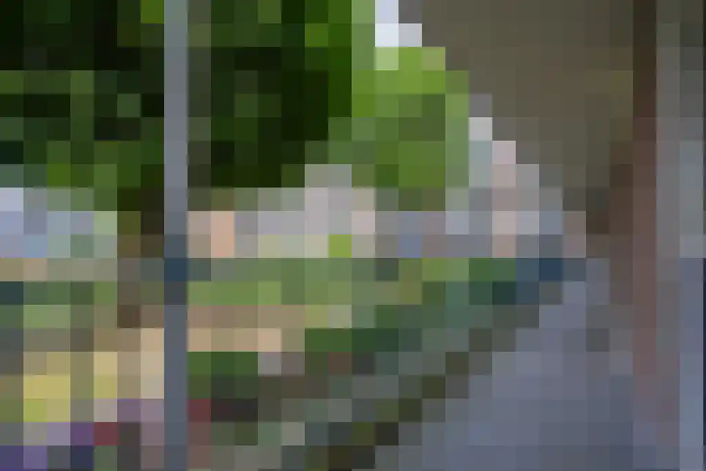 Kobaltstraat 89 Apeldoorn thumbnail 20
