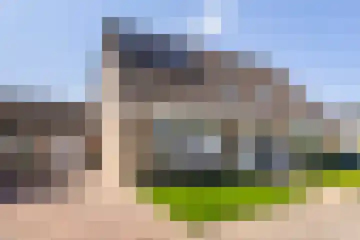 Kobbe 45 Dokkum