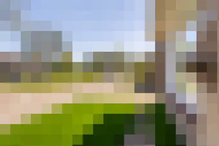 Kobbe 45 Dokkum thumbnail 14