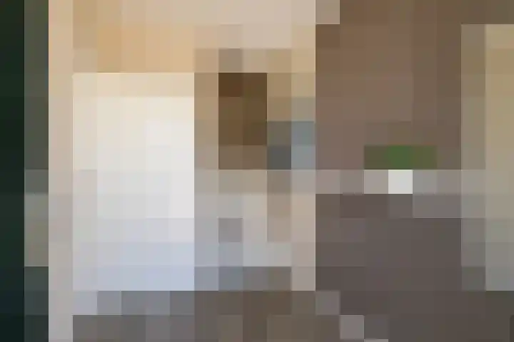 Kobbe 45 Dokkum thumbnail 19