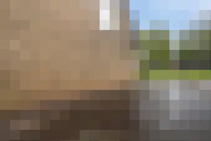 Kobbe 53 Dokkum thumbnail 21