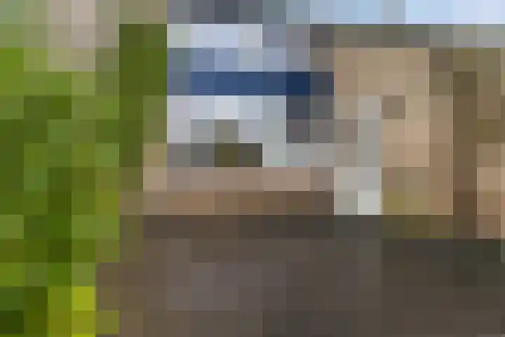 Kobbe 53 Dokkum thumbnail 23