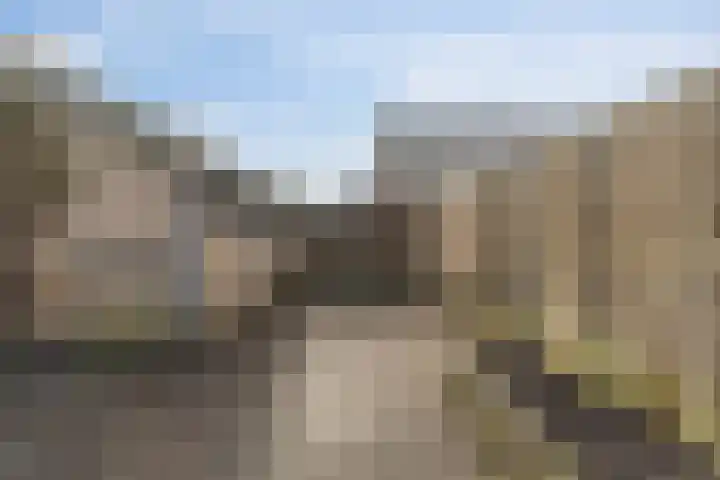 Kobbe 53 Dokkum thumbnail 24