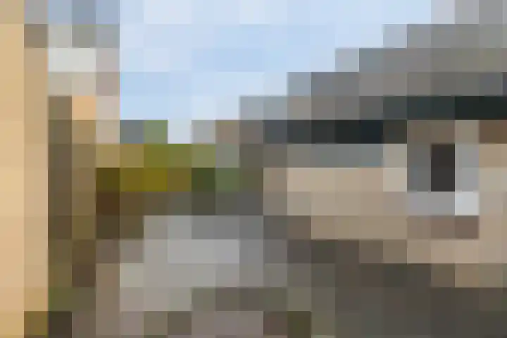 Kobbe 53 Dokkum thumbnail 25