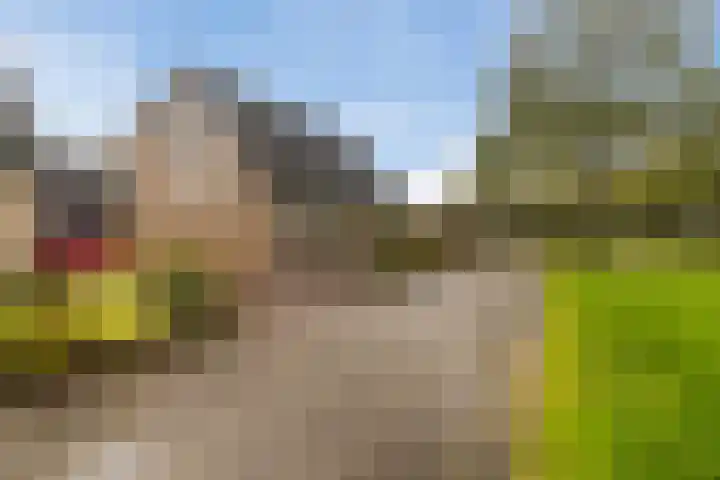 Kobbe 53 Dokkum foto 3