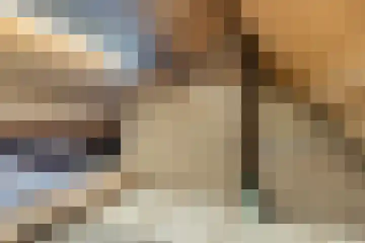 Kobbe 53 Dokkum thumbnail 37