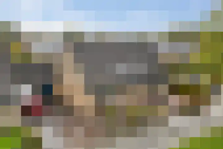 Kobbe 53 Dokkum thumbnail 40