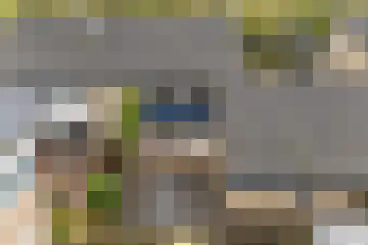 Kobbe 53 Dokkum thumbnail 41