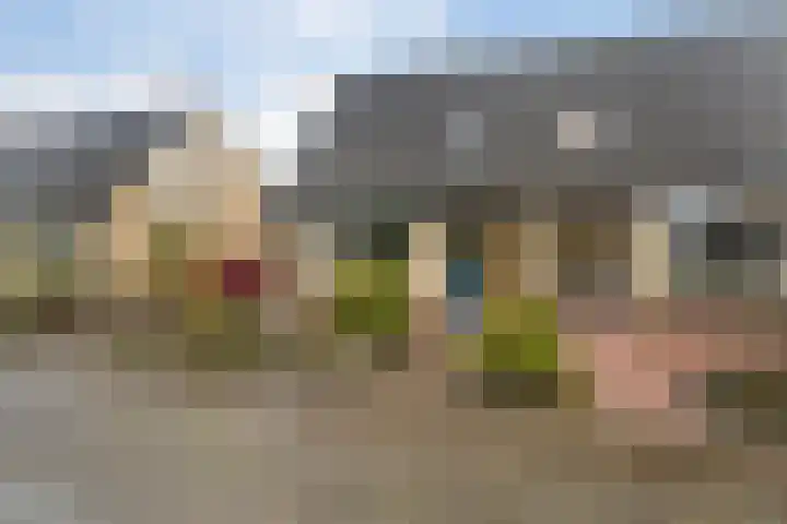 Kobbe 53 Dokkum thumbnail 5