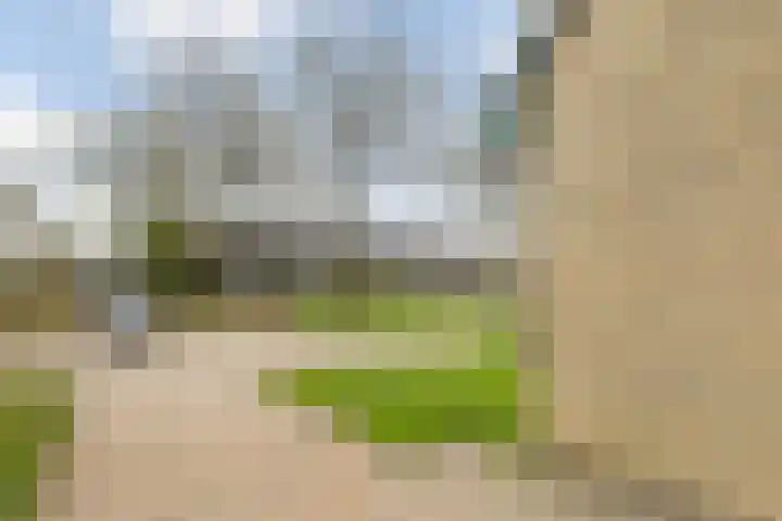 Kobbe 63 Dokkum thumbnail 21