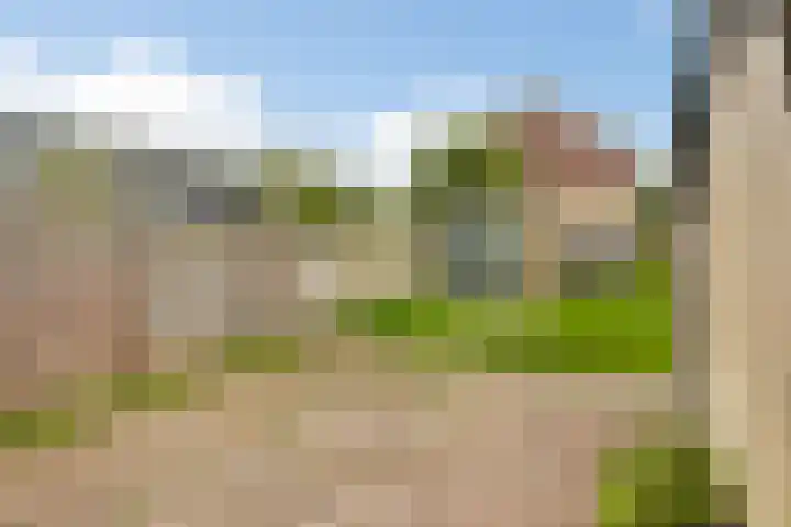 Kobbe 63 Dokkum thumbnail 24