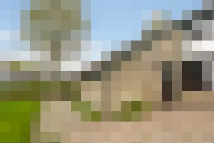 Kobbe 63 Dokkum thumbnail 25