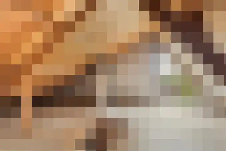 Kobbe 63 Dokkum thumbnail 42
