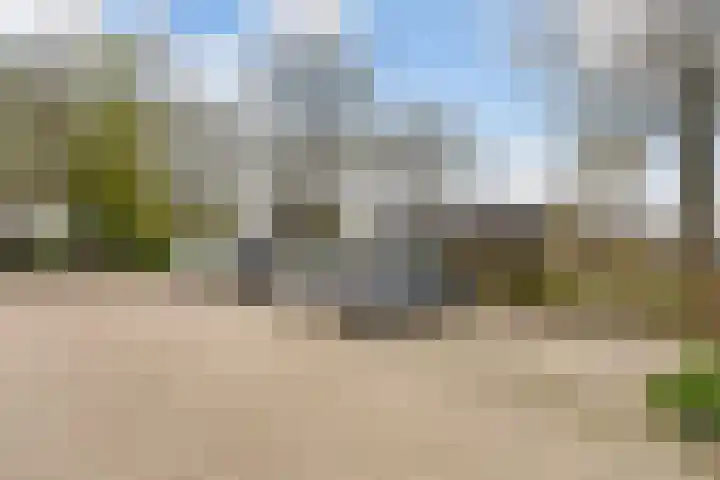 Kobbe 63 Dokkum thumbnail 44