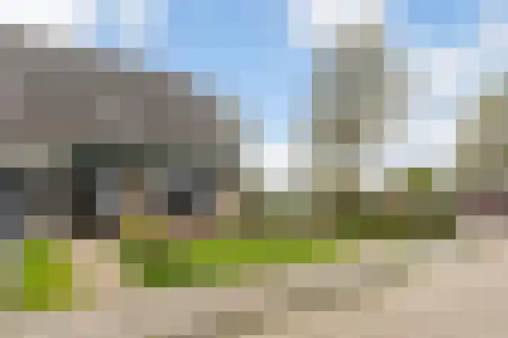 Kobbe 63 Dokkum thumbnail 5