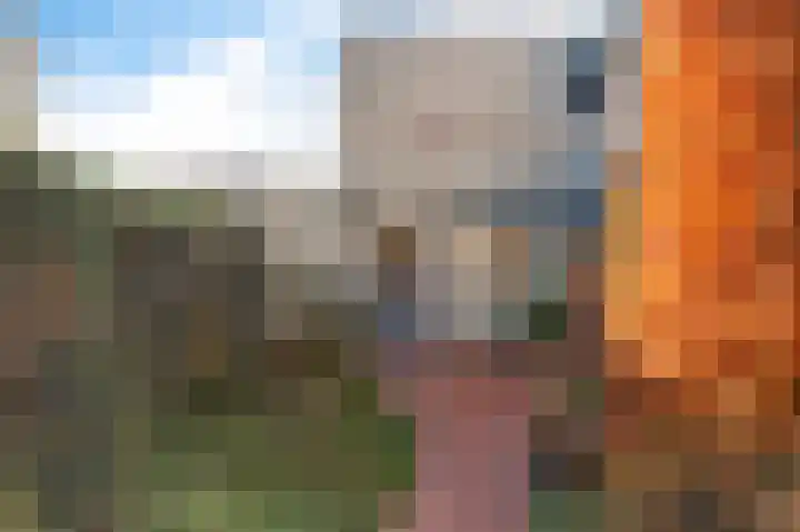 Kobbeduinen 41 Hoofddorp thumbnail 31