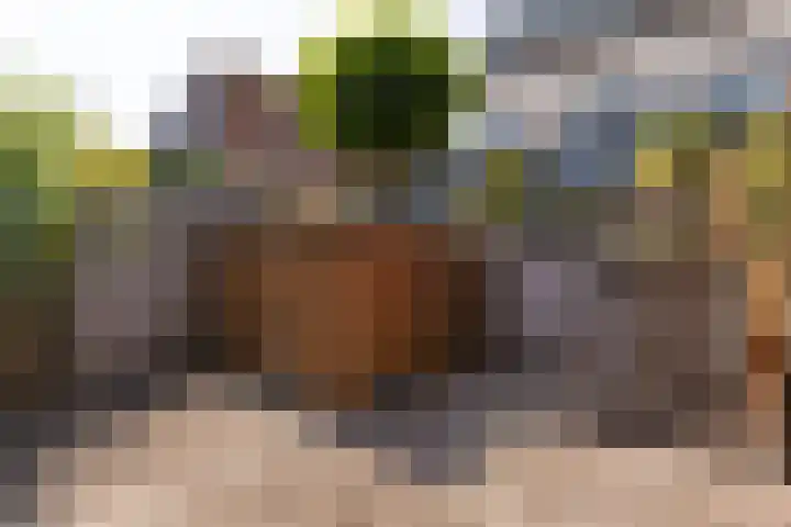 Kobbeduinen 76 Hoofddorp thumbnail 11