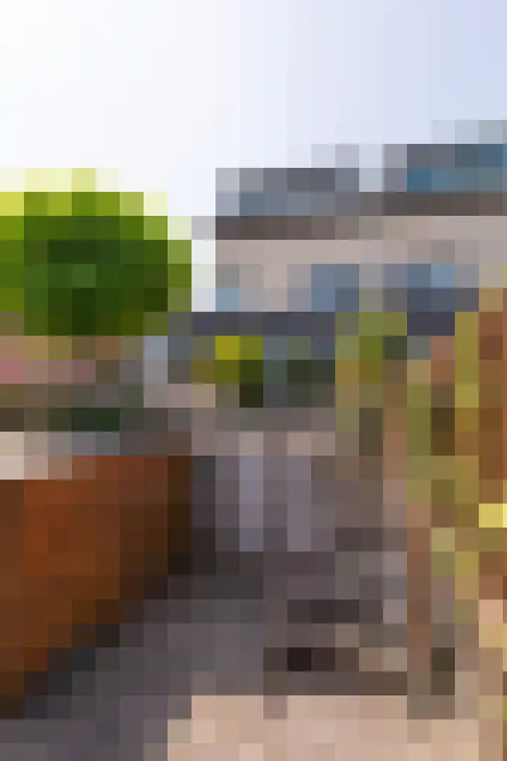 Kobbeduinen 76 Hoofddorp thumbnail 12