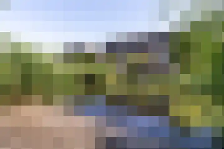 Kobbeduinen 76 Hoofddorp thumbnail 13
