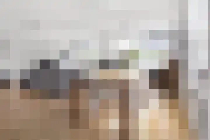 Kobbeduinen 76 Hoofddorp thumbnail 5