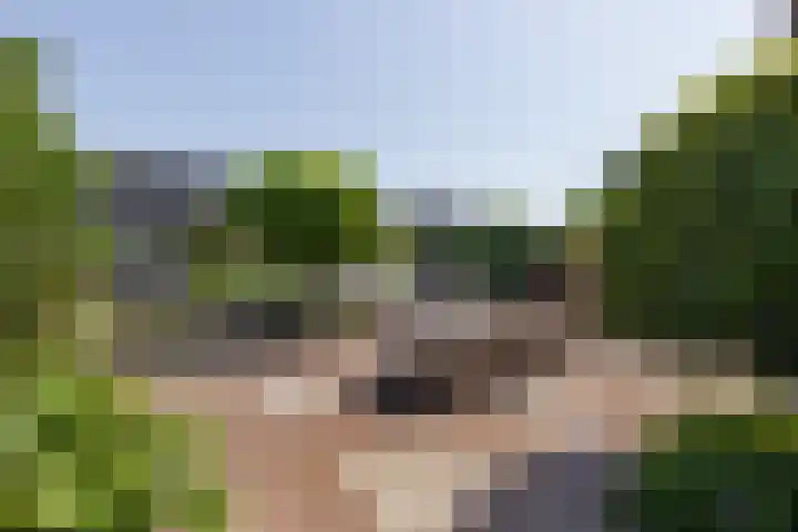 Kobbeduinen 76 Hoofddorp thumbnail 8